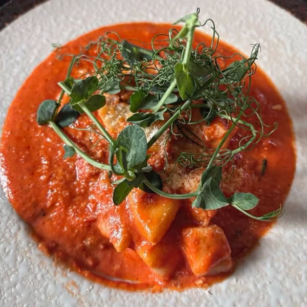 Gnocchi in a rich red sauce, garnished with fresh pea shoots and grated cheese.
