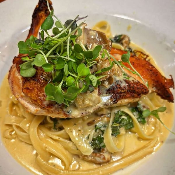 Crispy-skinned chicken breast with mushrooms and microgreens, served over fettuccine in a creamy sauce.